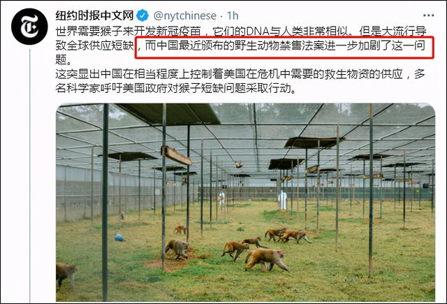 疫情之下实验猴遭疯抢，全球“一猴难求”还要持续多久？