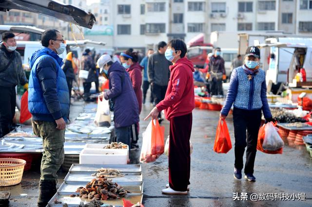 一年中最贵75一斤，满籽肥的虾虎上市，青岛小哥：会挑会吃有学问