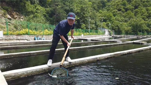 「暑期实践育人·视频特辑」体验水产养殖 助力产业发展