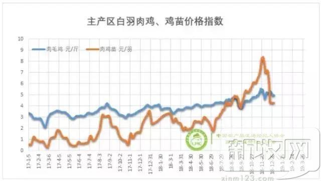 2019年白羽肉鸡行业前景展望