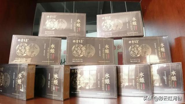 知名中药！红河县这个新兴生物产业“菲”同一般