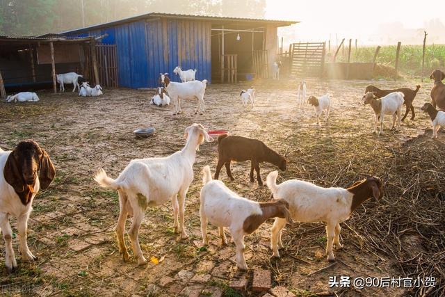 农户未经批准就建了养殖场，担心被拆除，要做好3方面的排查