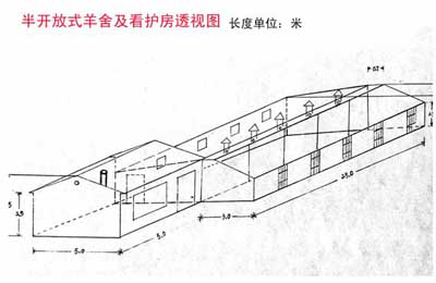 规模化羊场建设需要注意什么？