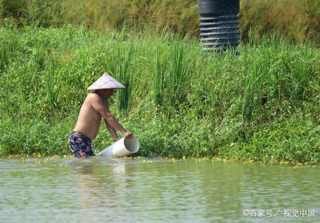 海南琼海：引养小龙虾 拓宽脱贫路