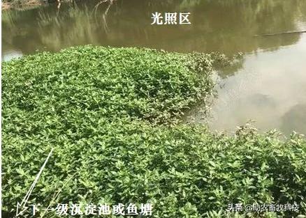 养殖场如何仅用几个储液池、将污水（废水）处理达到排放标准技术