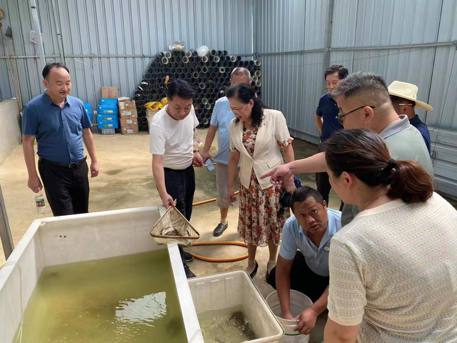 江夏科农村沙塘鳢孵化基地加快发展步伐