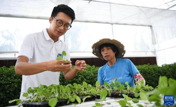 三位香港青年的蔬菜梦工厂