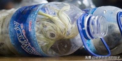 参与修订野生动物保护法，区分野生与人工繁殖鹦鹉，早日开放饲养