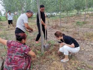 河南蝉养殖(宝丰县赵庄镇：林下种植小金蝉 轻轻松松挣大钱)