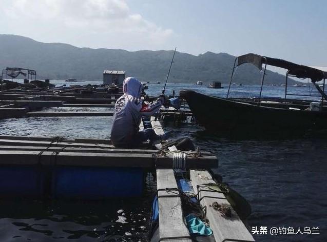 海筏钓鱼的效果相当好，掌握这几点，轻松钓海鱼