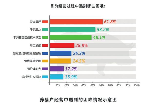 生猪养殖到底能不能赚钱