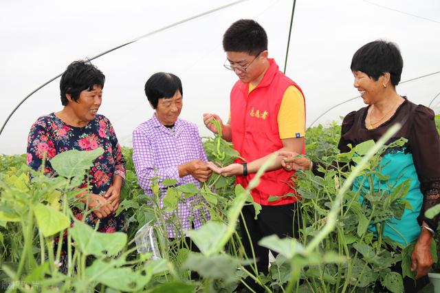 猪儿虫的华丽变身—豆丹