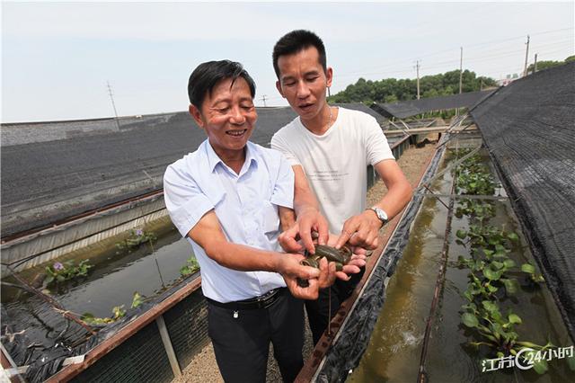 江苏24小时·滚动推送｜苏州市吴江区：水蛭养殖带动百姓致富