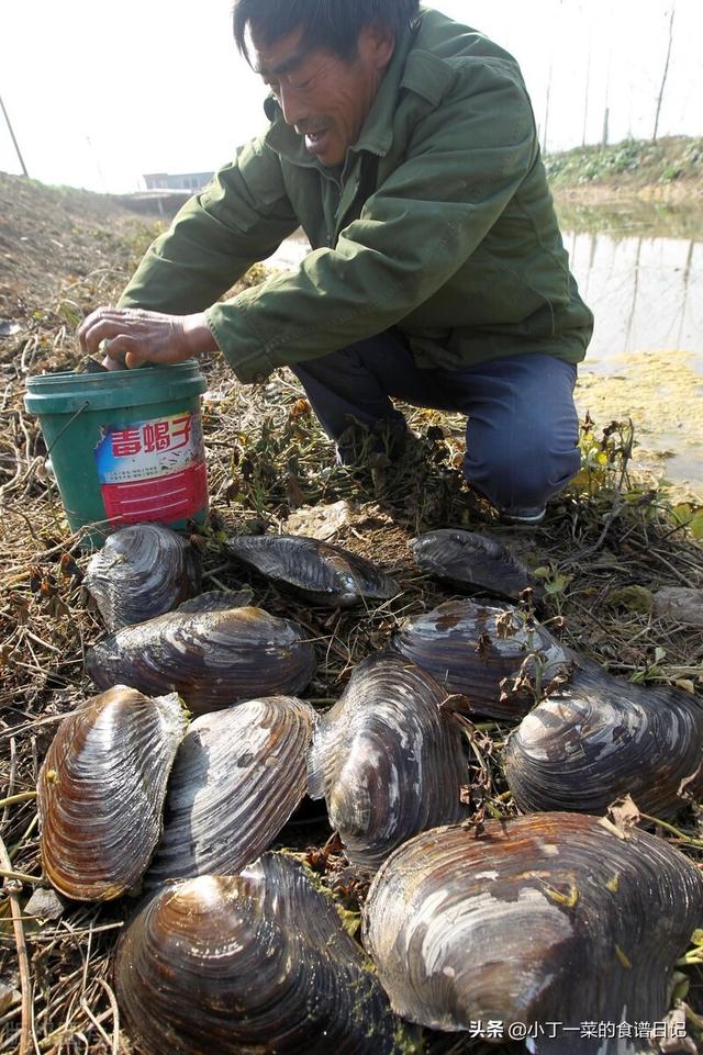 这4种慢慢消失的河鲜，全部吃过都已经当妈了，里边有你认识的吗