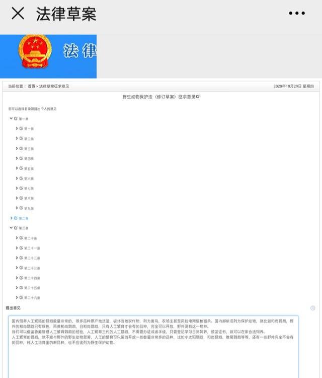 参与修订野生动物保护法，区分野生与人工繁殖鹦鹉，早日开放饲养