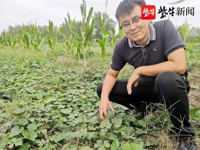 连云港海州：238名大学生回乡“驰骋”田野写“青春”