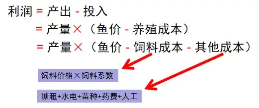 加州鲈鱼养殖成本(亩利润超5万元如何成为加州鲈养殖高手？)