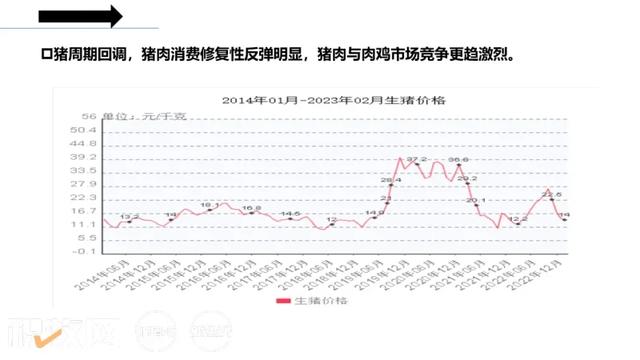 王济民：肉鸡产业前景广阔，将迎来四大发展机遇