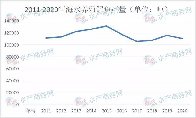 海水养殖十大鱼类产量变化大，大黄鱼跃涨首位，石斑鲈鱼争二三