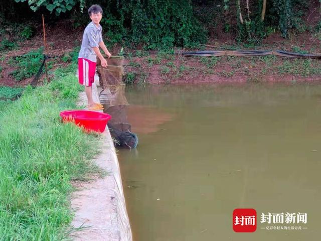 小康圆梦｜返乡青年自学小龙虾养殖 带领村民致富 助力乡村产业振兴