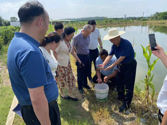 江夏科农村沙塘鳢孵化基地加快发展步伐