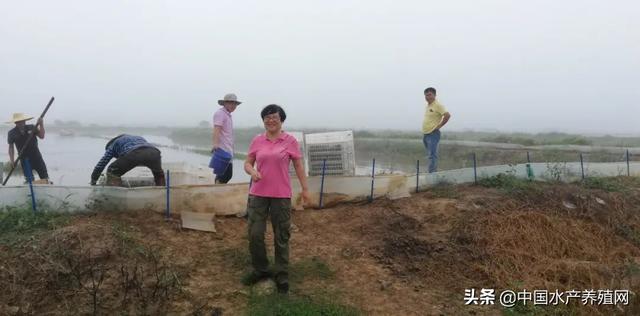 虎年第一笼！这里的反季节小龙虾养殖获重大突破！产值超万