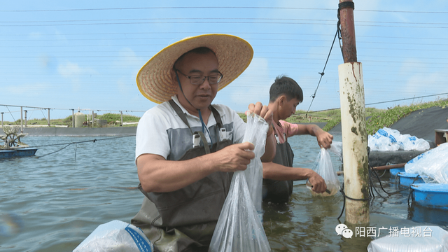 这个村，养虾面积高达530亩！一年养三造，61万尾虾苗，利润高达150万！