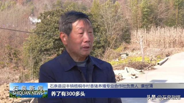 走基层 看发展丨袁世清：养殖黑香猪 走出致富路