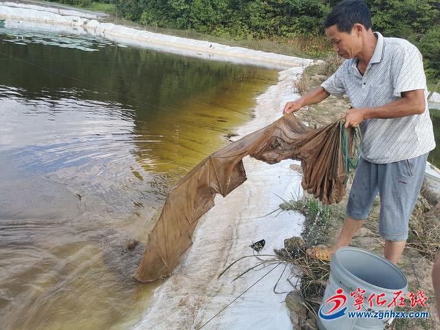 小泥鳅“钻”出致富路