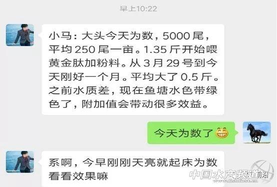 海壹大头新模式，养殖户一个月多赚5000元