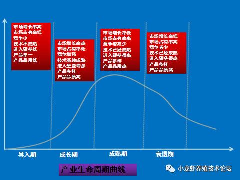 小龙虾养殖：投资的最好时机在哪里？