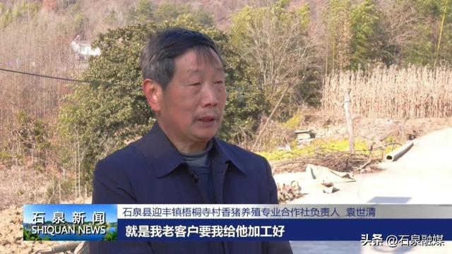 走基层 看发展丨袁世清：养殖黑香猪 走出致富路