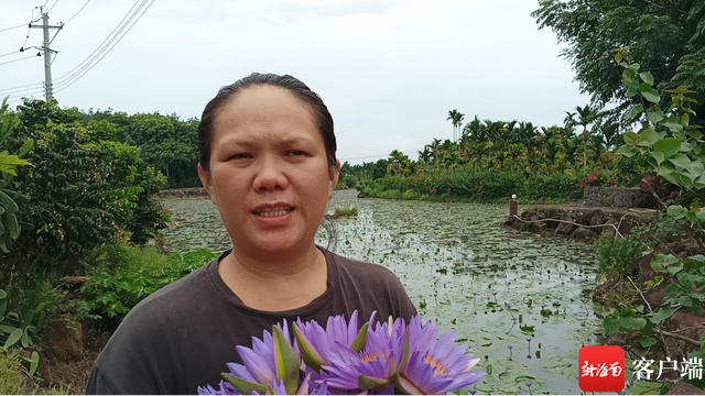 琼海大路镇莲花种植户卢美燕：把芳香产业推向国际