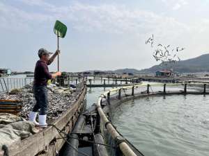 海南鲍鱼养殖(东山：“候鸟式”养殖深海鱼 带来好收成)