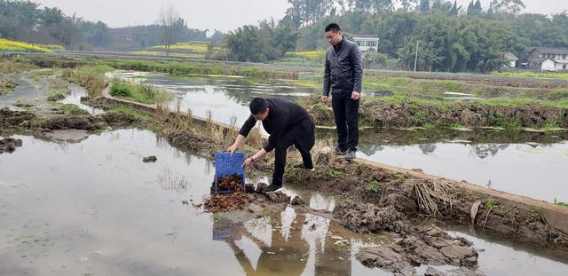 九洪乡石塔山村：龙虾养殖打开致富新门路