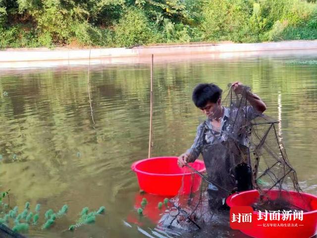 小康圆梦｜返乡青年自学小龙虾养殖 带领村民致富 助力乡村产业振兴