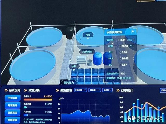 上海奇人：养鱼不换水，种菜不施肥，年入3600万，疫情在家也不愁