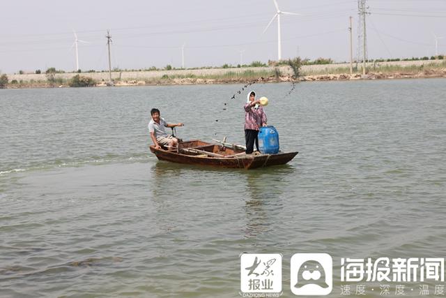 河口区新户镇：科技赋能构筑现代渔业新图景
