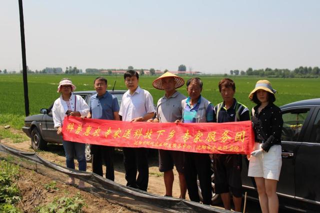 沈阳小龙虾养殖户遇难题，专家来到地头手把手教