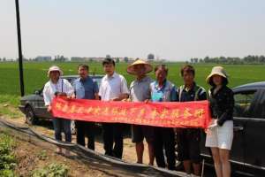 辽宁养殖小龙虾地址(沈阳小龙虾养殖户遇难题，专家来到地头手把手教)