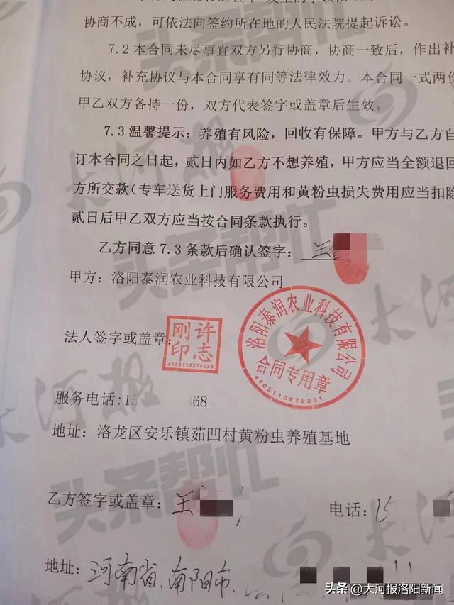 洛阳一农户养殖黄粉虫后收购价太低要求退款 厂家：市场价不可控，可以协商退部分款项