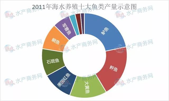 海水养殖十大鱼类产量变化大，大黄鱼跃涨首位，石斑鲈鱼争二三