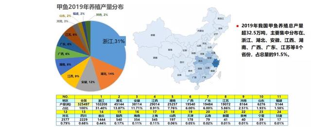 风雨与机遇相伴！2021年甲鱼养殖业能否在危机中迎来涅槃？