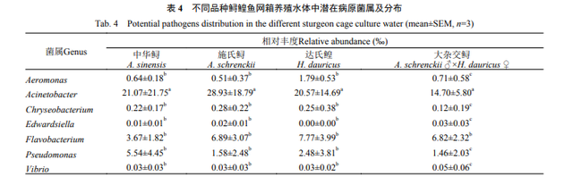 网箱养殖鲟鳇鱼时，如何避免水体中潜在病原菌，提高鱼苗存活率？