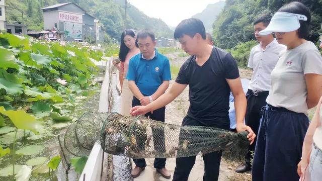 天下政协｜金秋“蟹”逅桃花源