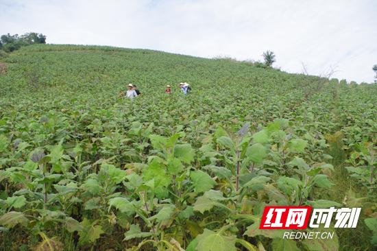 李永祥：把群众当亲人 用心用情真扶贫