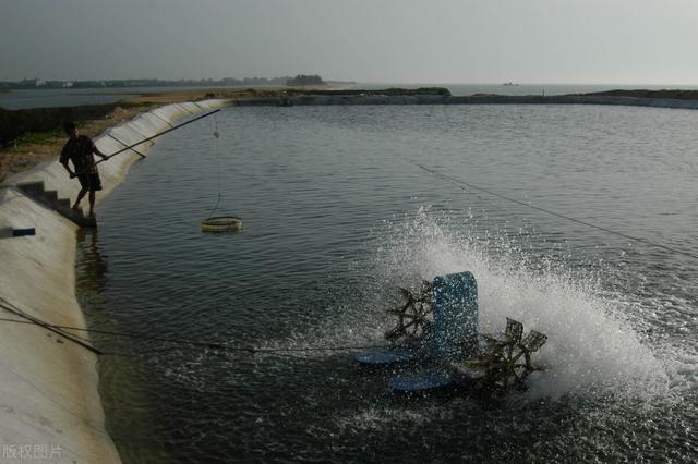 水产养殖中处理“硫化氢”的八个方法