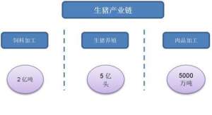 中国生猪养殖统计年鉴(生猪产业链基础及行业供需)