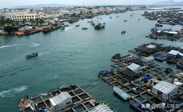 海筏钓鱼的效果相当好，掌握这几点，轻松钓海鱼