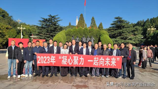 岳西翠芽｜秋季北上为2024春茶提前布局｜不走寻常路精准有成果